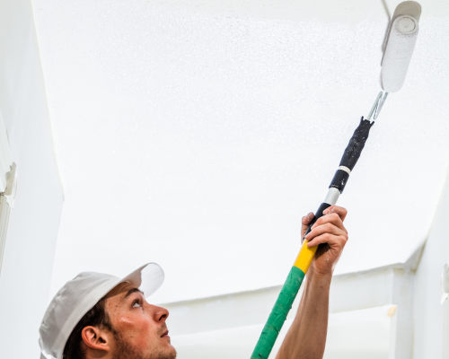 peinture plafods